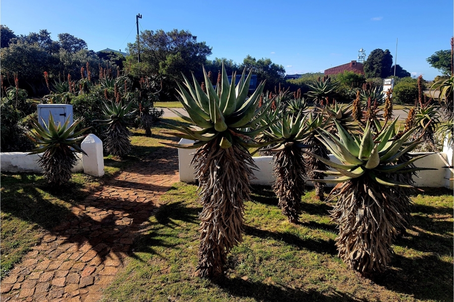 4 Bedroom Property for Sale in Boggomsbaai Western Cape